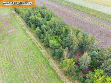 Działka Sprzedaż Walendów